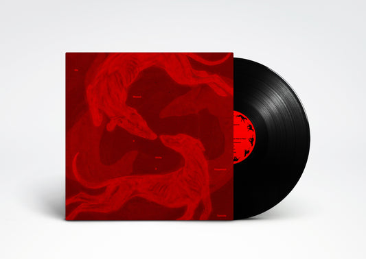 [PRE-ORDER] Tomode - We Missed It While It Happened (Vinyl)